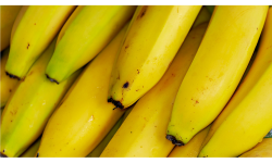 Banano pintón